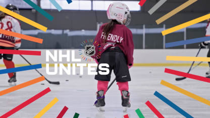 The NHL & NHLPA Women's Hockey Advancement Committee