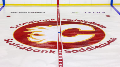 A New Look at the 'Dome!