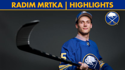 Radim Mrtka | Highlights