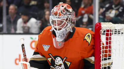 Preview Anaheim Ducks pred sezónou 2025-26