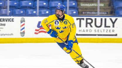 Anton Frondell | Prospect Profile