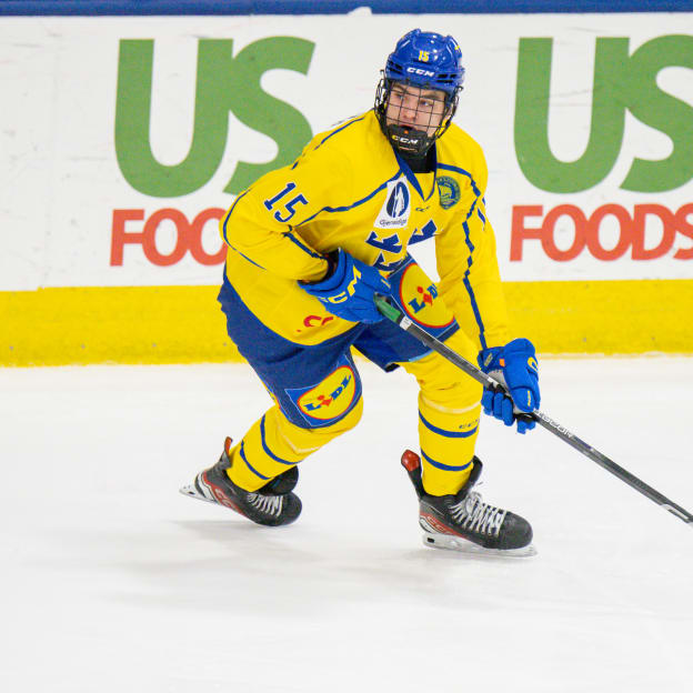 International Skaters