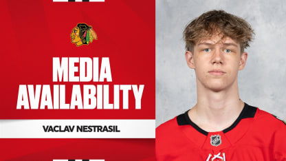 Vaclav Nestrasil at Development Camp