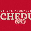 Detroit Red Wings and Dallas Stars announce 2025 NHL Prospect Games schedule