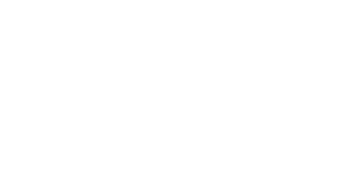 Founding Partner - Verizon