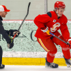 Stajan Keen On Watching New Flames Centres Grow