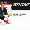 LA-Kings-Sign-Anton-Forsberg